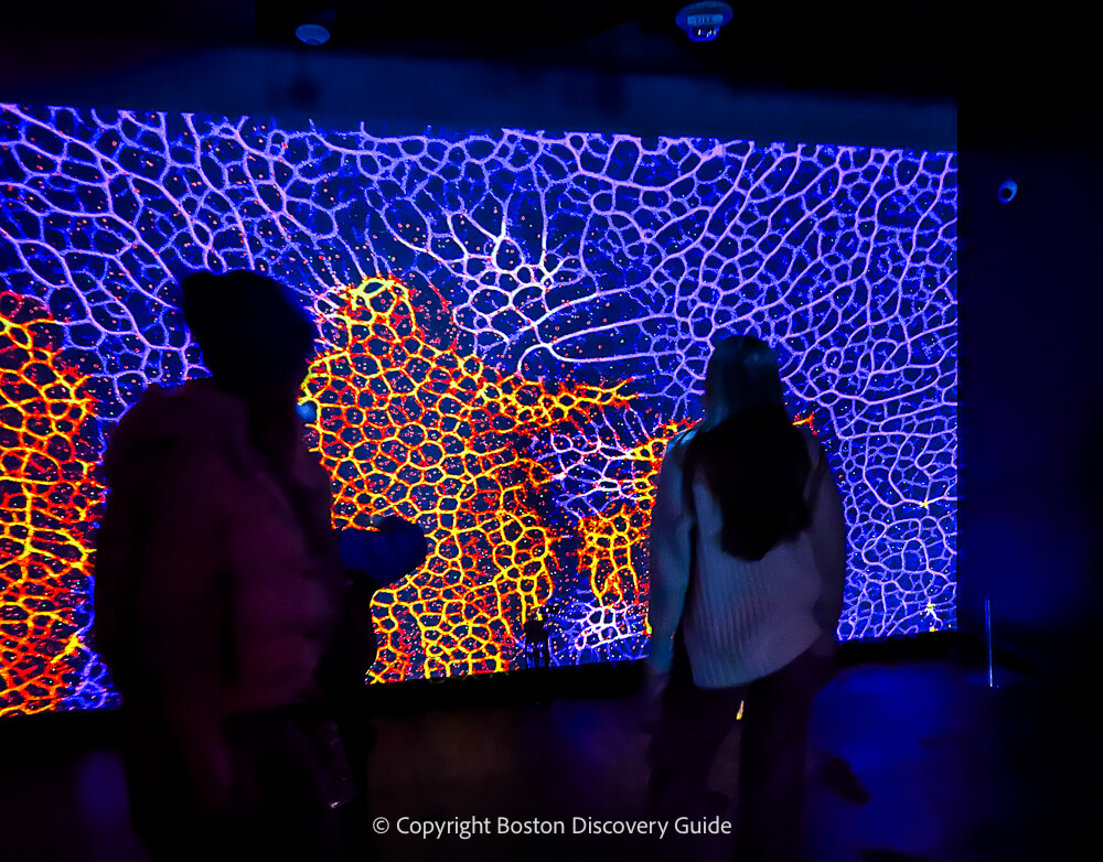 Interactive exhibition where your movements create the shapes on the wall