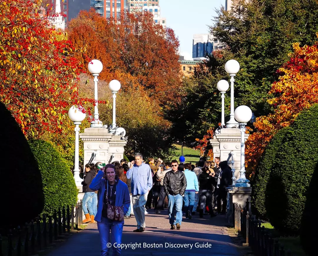 Colorful foliage surrounding the Lagoon in Boston's Public Garden 