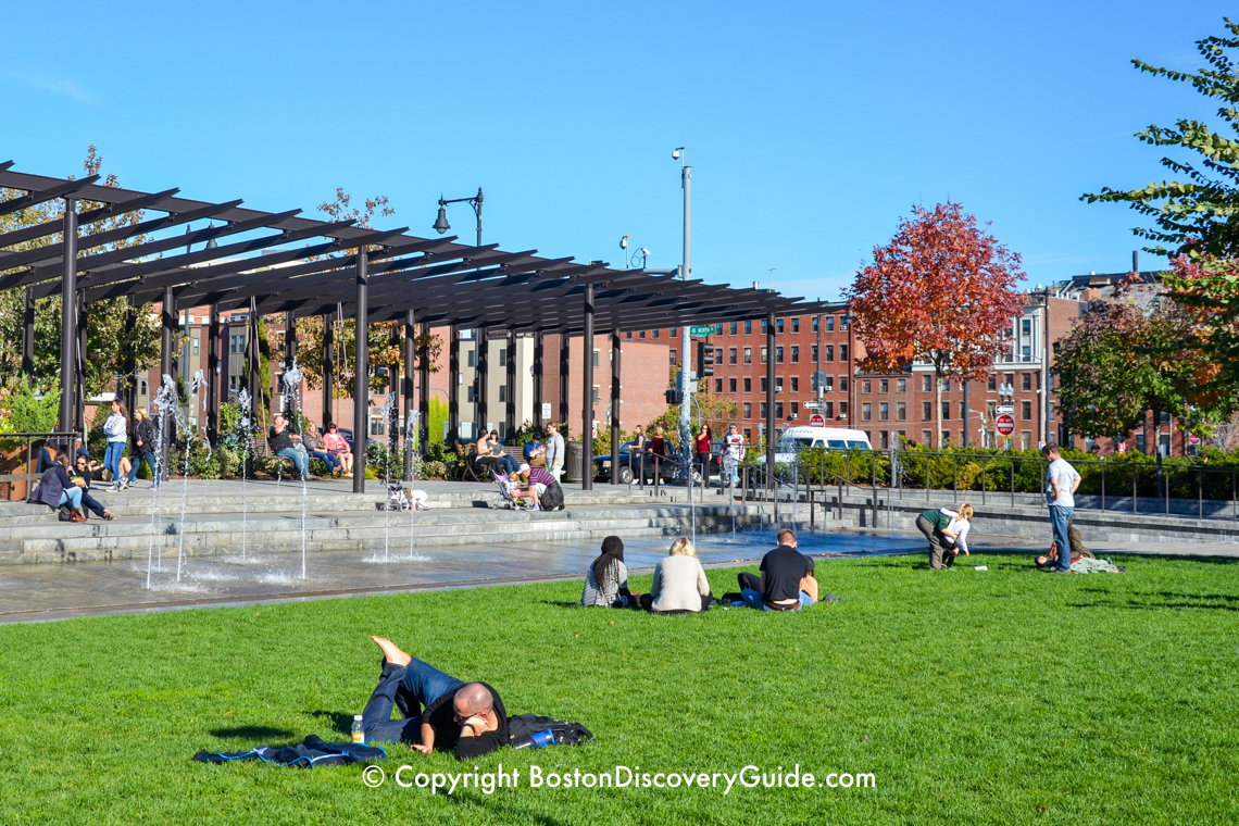 Grassy field in the North End Parks 