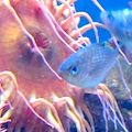 x120 aquarium