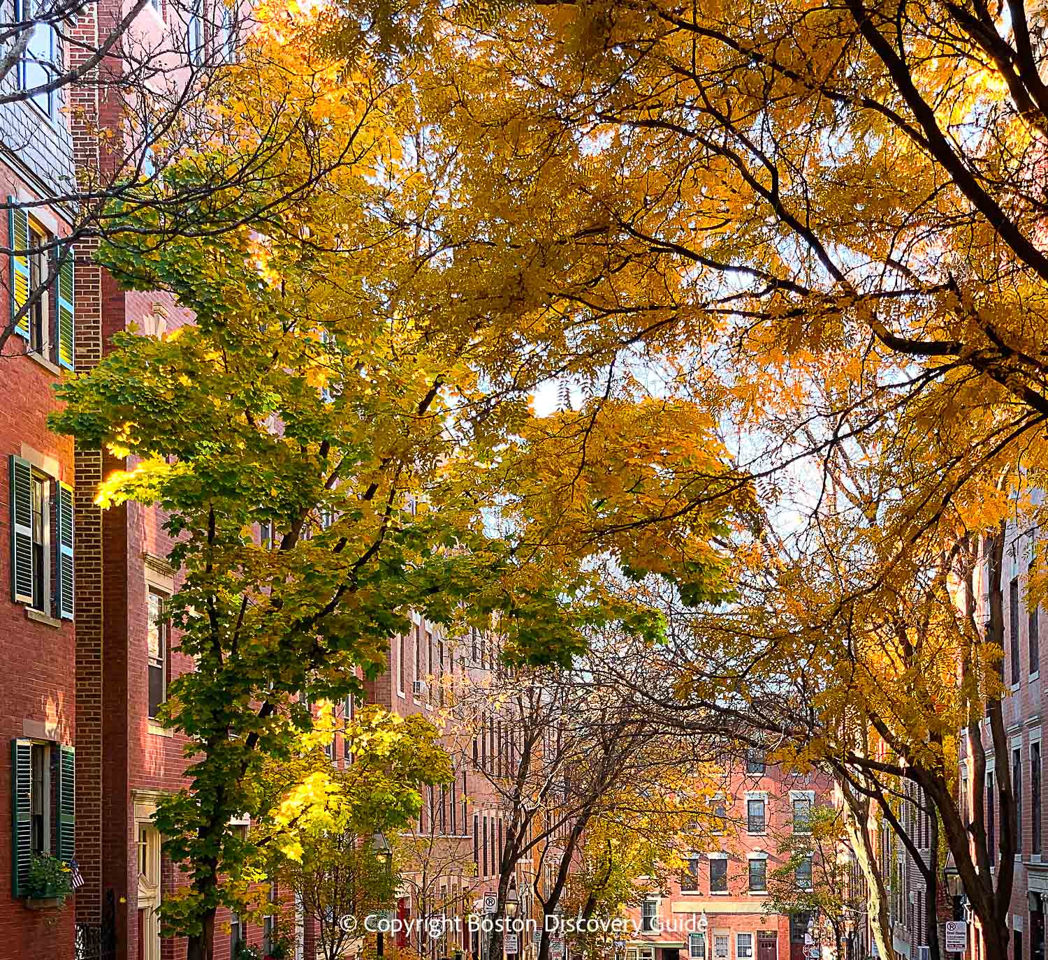 Fall foliage in Beacon Hill Fall foliage in Beacon Hill