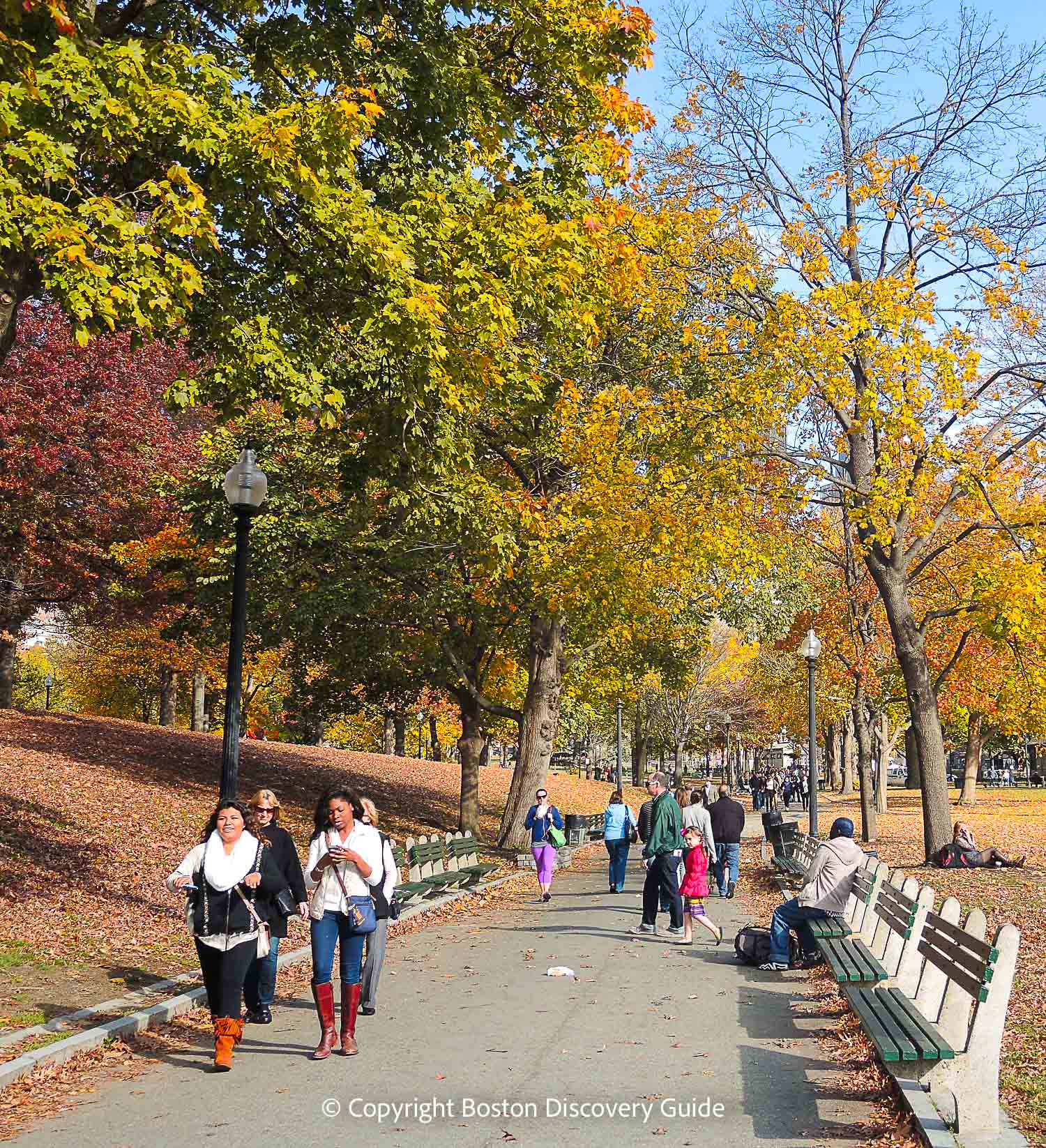 Colorful foliage on Boston Common in late October Colorful foliage on Boston Common in late October