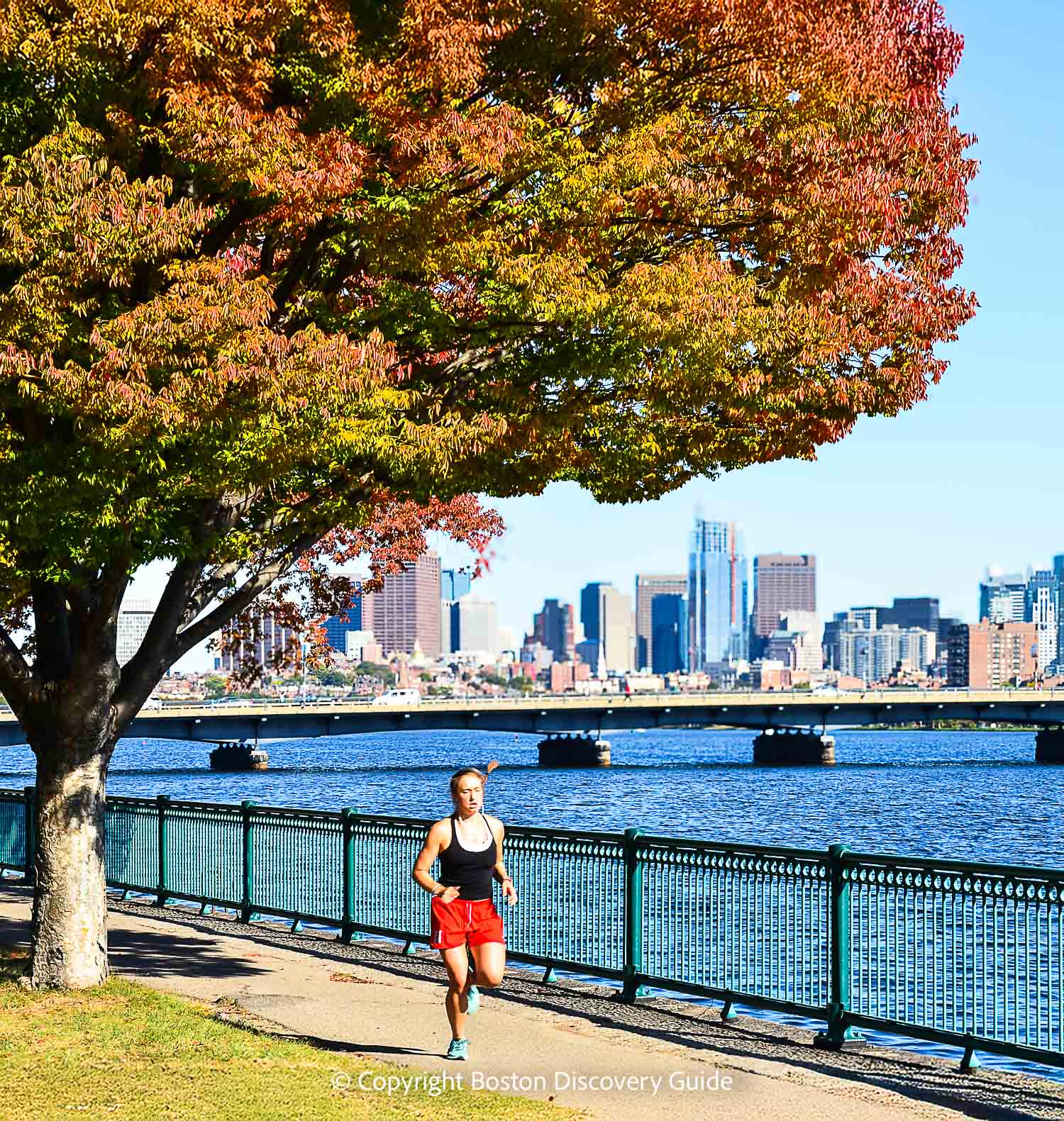 Boston skyline and fall foliage viewed from Cambridge Boston skyline and fall foliage viewed from Cambridge