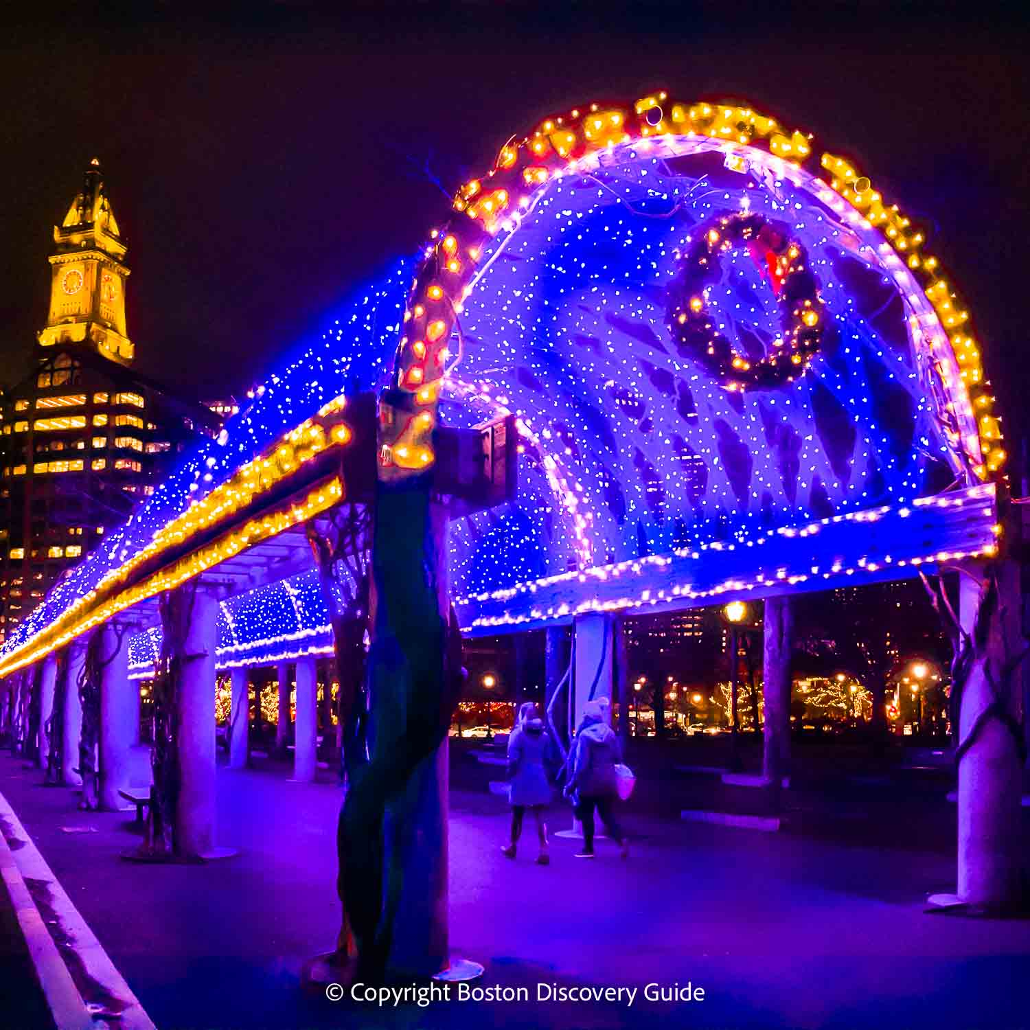 Christmas Lights on Trellis in Columbus Park, Boston