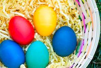 Easter egg hunts in Boston in April Easter egg hunts in Boston in April