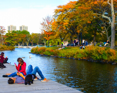 Floating docks on Boston's Esplanade in the fall