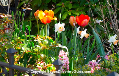 Art in Bloom at Museum of Fine Arts Art in Bloom at Museum of Fine Arts