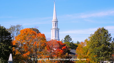 Fall foliage tours in Boston - colorful leaves