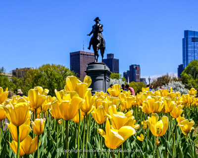 Walking across Boston Common in the rain