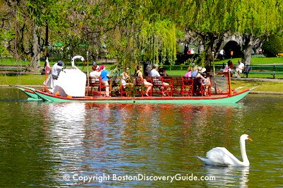 Swan Boats in Boston's Public Garden Swan Boats in Boston's Public Garden