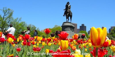 Boston's Public Garden and its  attractions