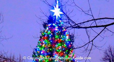 Christmas Tree in Boston Common Christmas Tree in Boston Common