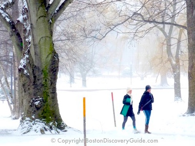 Extreme Boston Weather - Blizzards, hurricanes, nor'easters