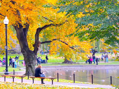 Boston's 4 Seasons