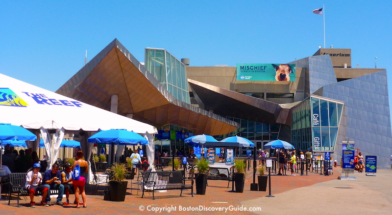 New England Aquarium New England Aquarium