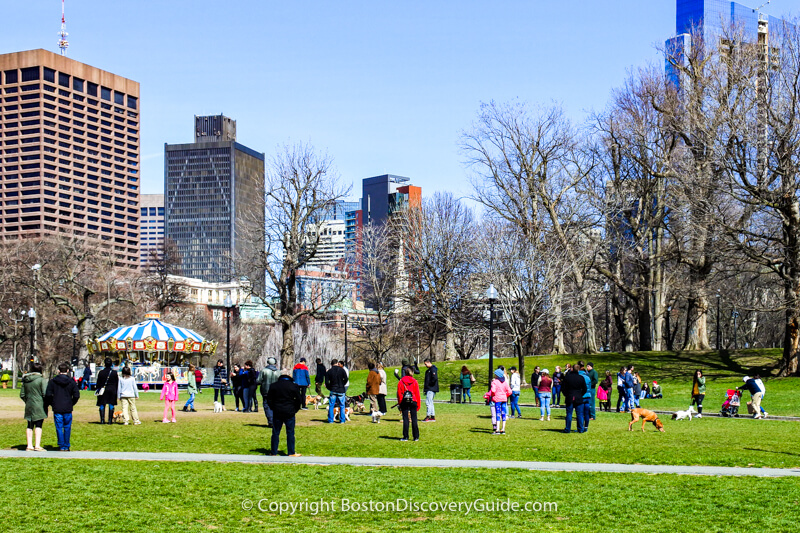 People (and a few dogs) out for a stroll on Boston Common in early April - trees are still bare but with green grass, blue skies, and temperatures in the 50s, the Common felt almost like spring