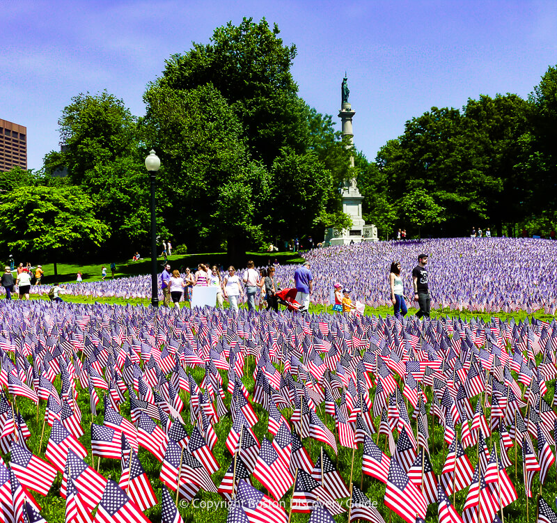 Garden of Flags on Boston Common on Memorial Day