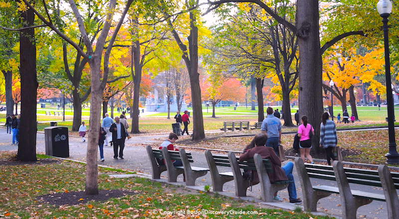Fall foliage in Boston Common Fall foliage in Boston Common