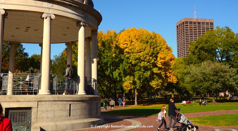 Golden foliage in Boston Common near the bandstand Golden foliage in Boston Common near the bandstand