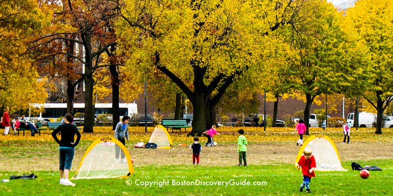 Cambridge Common, in Harvard Square