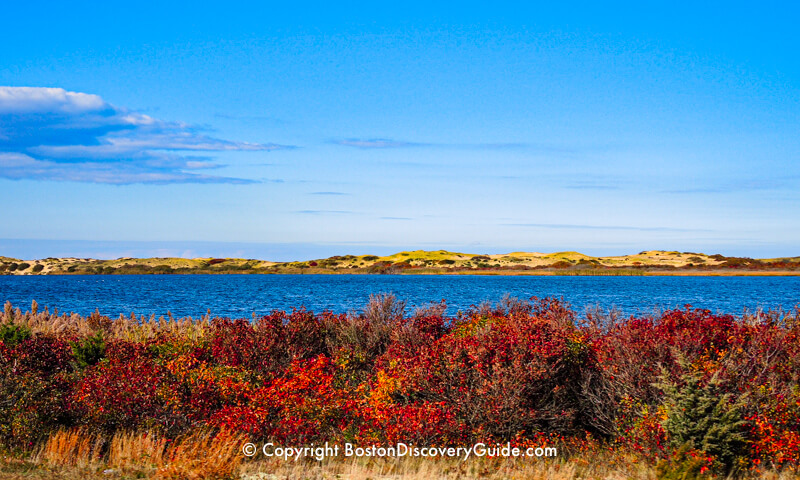 Autumn from Old Cape Cod tour from Boston