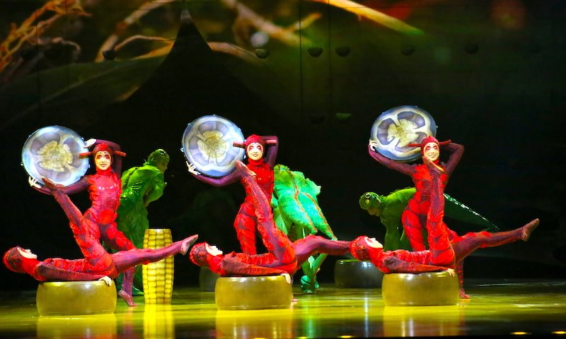 Cirque du Soleil's OVO - Photo courtesy of Cirque Du Soleil, Creative Commons license Cirque du Soleil's OVO - Photo courtesy of Cirque Du Soleil, Creative Commons license
