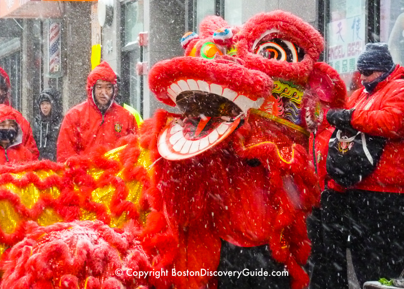 Lion Dance in a snow storm - part of the Chinese New Year celebration in Boston's Chinatown Lion Dance in a snow storm - part of the Chinese New Year celebration in Boston's Chinatown