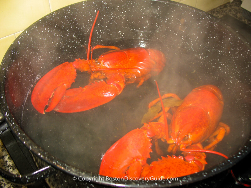 These lobsters are cooked and ready to take out of pot These lobsters are cooked and ready to take out of pot