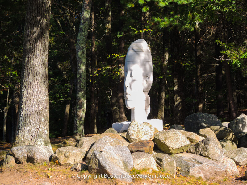 Humming (2011) by Spanish sculptor Juame Plensa in deCordova Sculpture Park