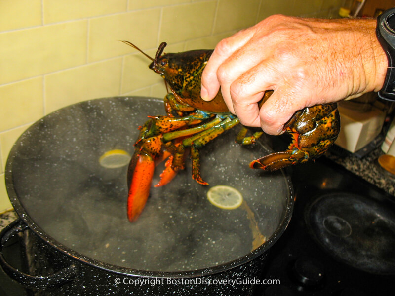 Dropping the lobster head first into the pot Dropping the lobster head first into the pot
