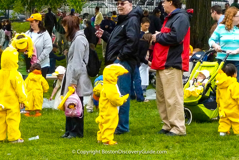 Duckling Day Parade - Mother's Day in Boston