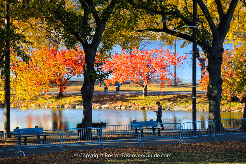 Boston neighborhoods:  The Esplanade