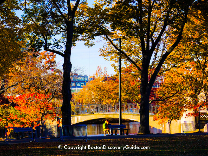 Boston's Esplanade in November