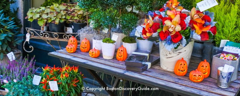 Events and things to do in Boston in October Events and things to do in Boston in October