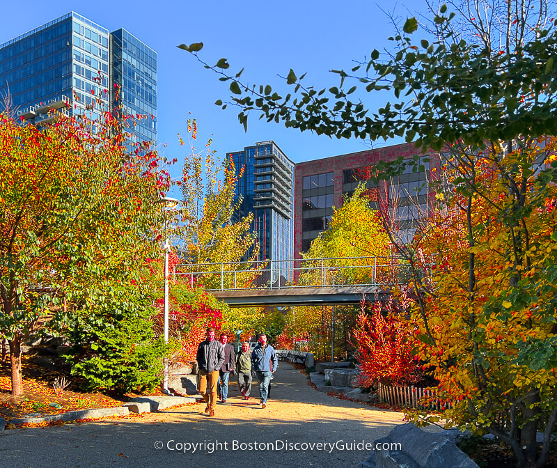 Fall foliage along Harborwalk in Boston's Seaport neighborhood