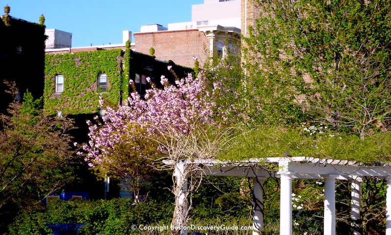 One of Boston's almost "hidden" gardens in mid-April - Ramler Park in the Fenway neighborhood