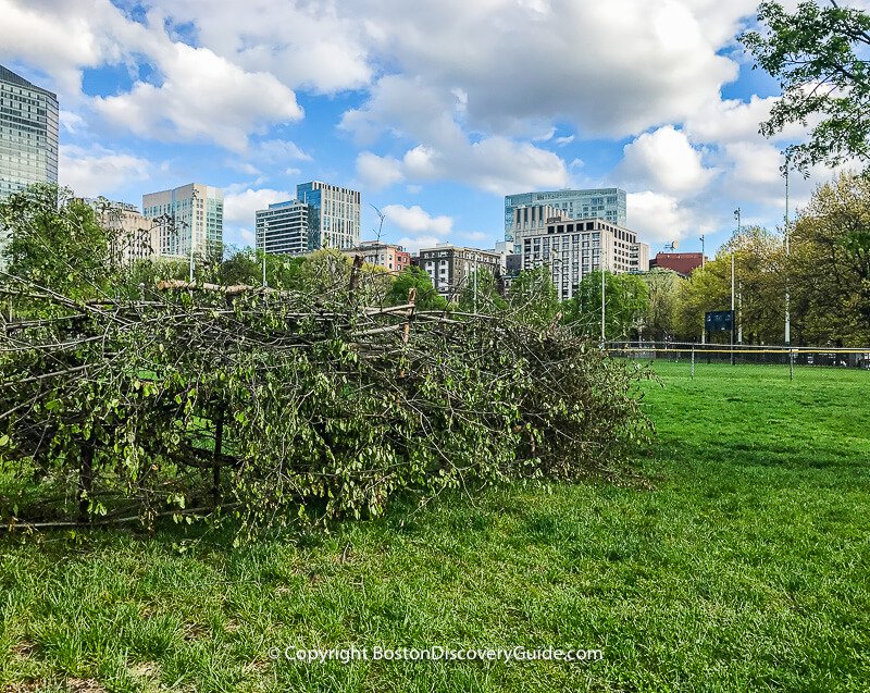 Fish weir on Boston Common Fish weir on Boston Common