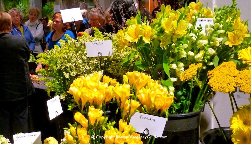 Boston Flower and Garden show - flower arranging demo Boston Flower and Garden show - flower arranging demo