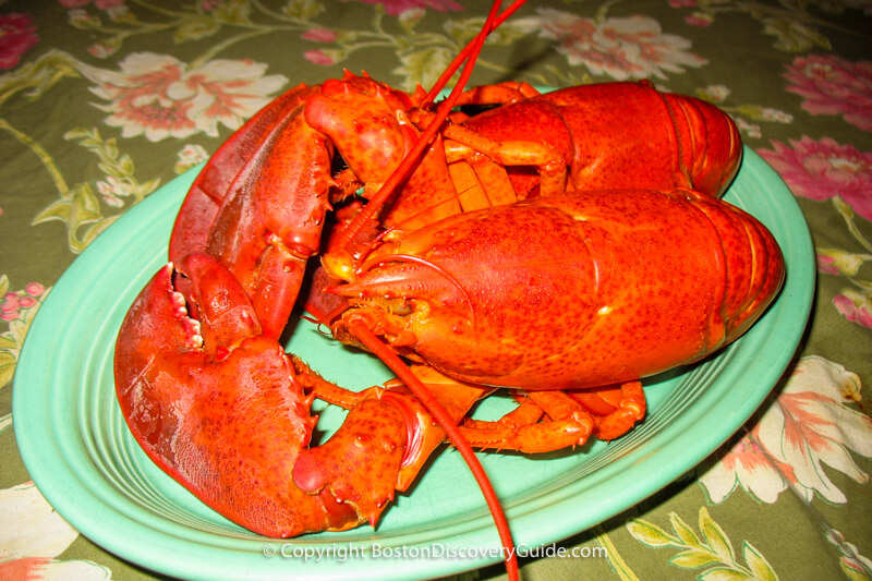 Freshly cooked lobsters on a platter