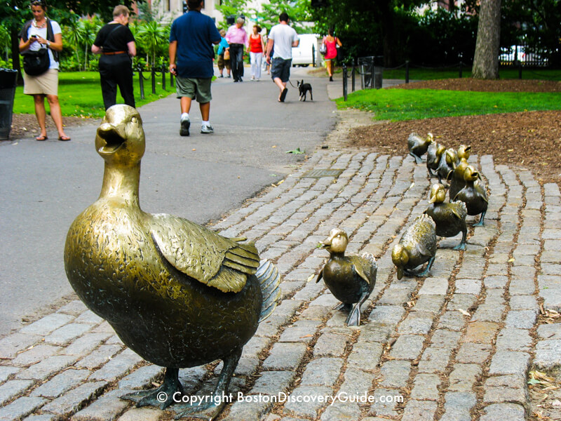 Bostons Public Garden 10 Top Attractions Boston Discovery Guide 