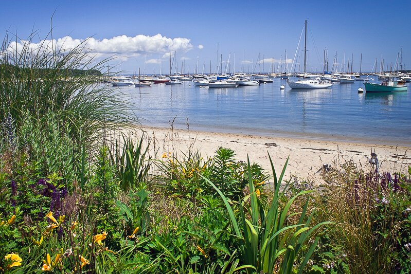 Harbor at Martha's Vineyard - Photo credit: andykazie/iStock Harbor at Martha's Vineyard - Photo credit: andykazie/iStock