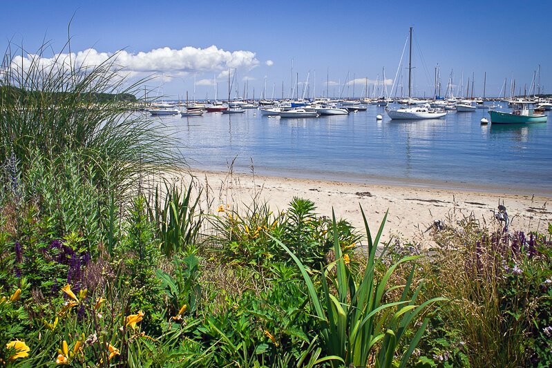 Harbor at Martha's Vineyard - Photo credit: andykazie/iStock