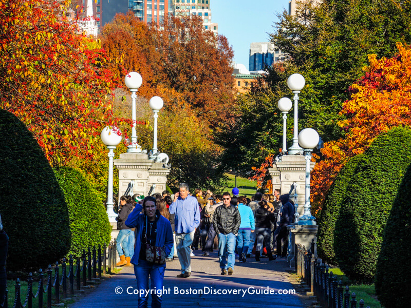 Colorful foliage surrounding the Lagoon in Boston's Public Garden 