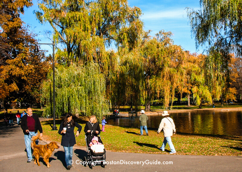 Bright fall colors in the Public Garden in mid-November