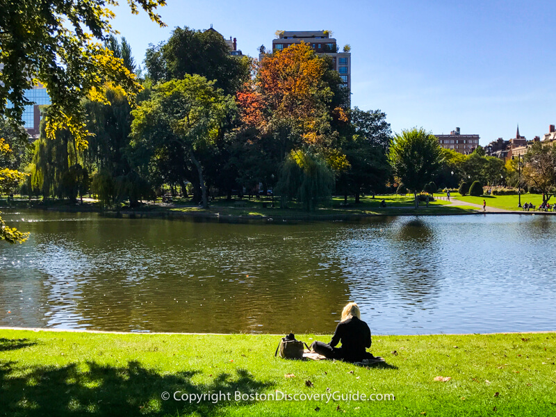 Boston neighborhoods:  Public Garden