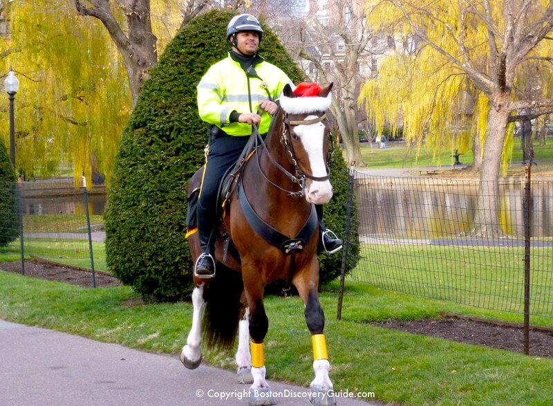 Boston Police officer patrolling on horseback in Boston's Public Garden in December - most leaves have fallen, but the willows still have their golden foliage Boston Police officer patrolling on horseback in Boston's Public Garden in December - most leaves have fallen, but the willows still have their golden foliage