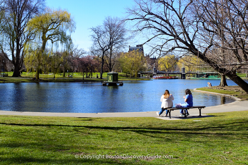 Even in early April when this photo of the Public Garden's Lagoon was taken, some days will be warm enough to soak up some sun