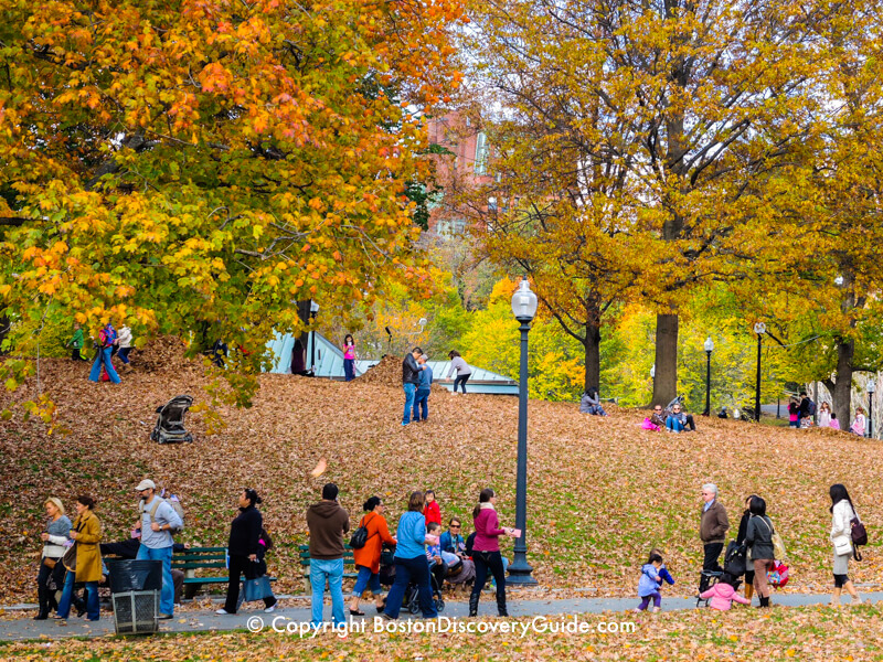 Colorful foliage surrounding the Lagoon in Boston's Public Garden 