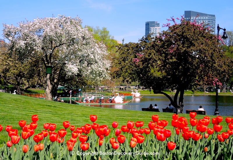 Boston Public Garden Boston Public Garden