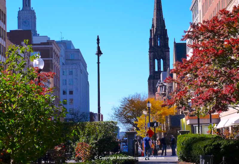 Newbury Street and the Newbury Hotel, viewed from Boston's Public Garden